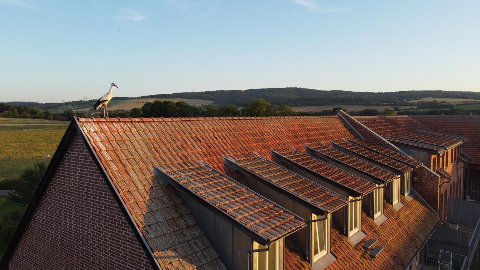 Biohotel Stiftsgut Wilhelmsglücksbrunn Creuzburg Exterior foto